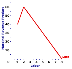 Employment Options