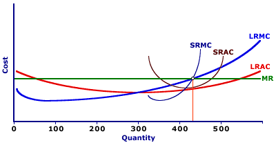 Long Run Cost