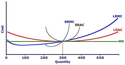 Long-Run Adjustment