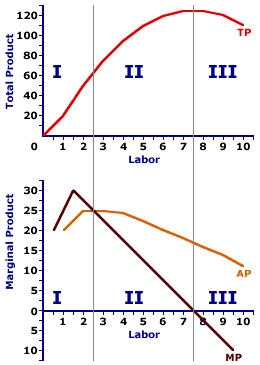 stages of production function